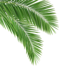 Karawala Test01
