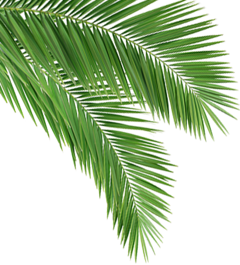 Karawala Test01